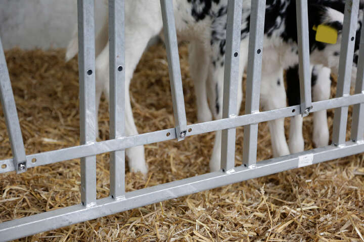 KERBL Modulare Zaunaufstallung Fressgitter